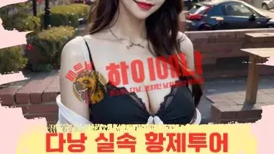 다낭 황제투어 밤코디