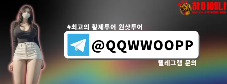 원샷투어 텔레그램