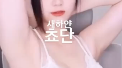새하얀 쵸단