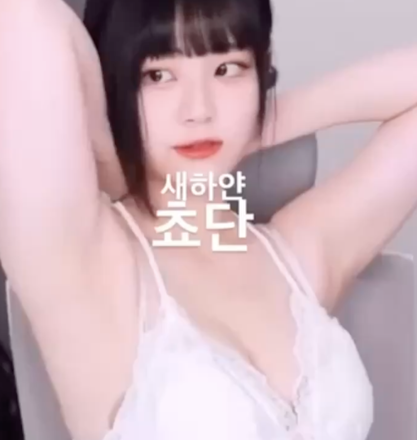 새하얀 쵸단