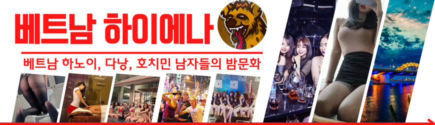 다낭 밤문화 커뮤니티 베트남 하이에나